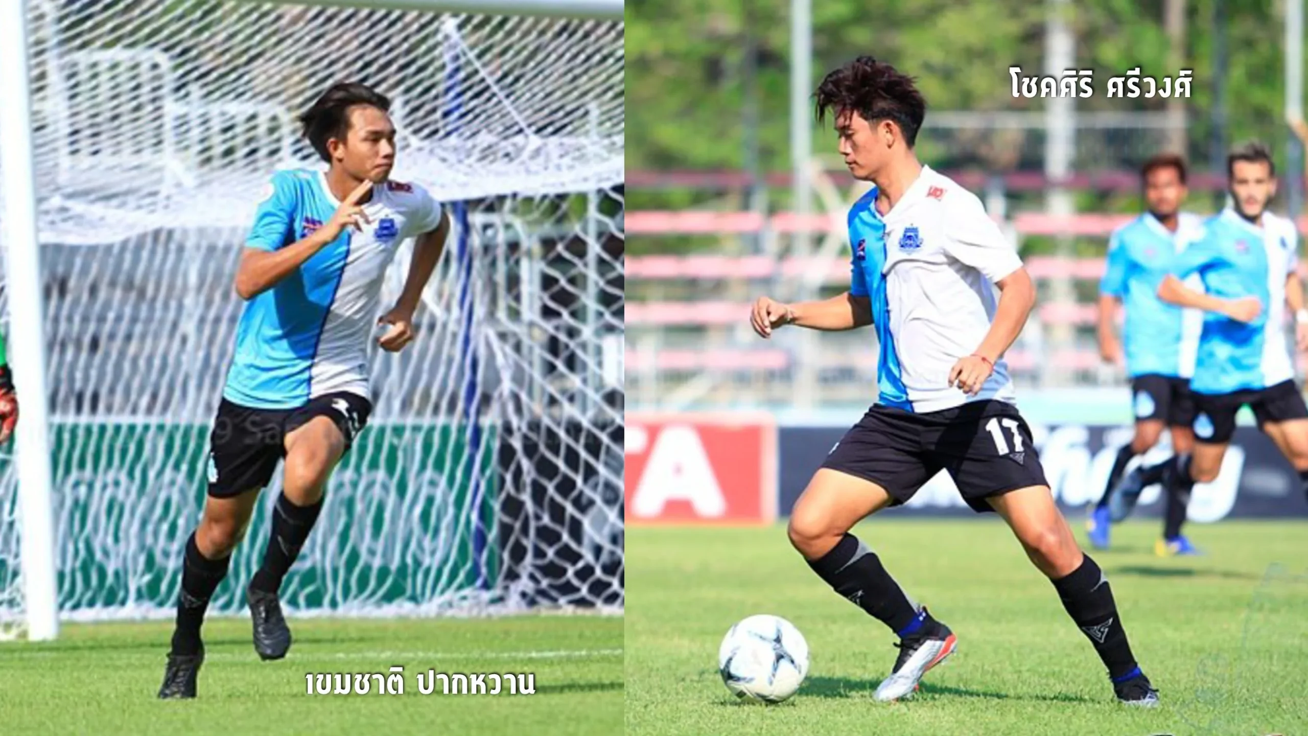 โครงการช้างเผือก22_result